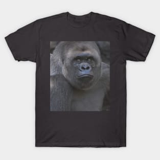 Western Lowland Gorilla T-Shirt